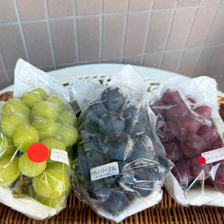 ブログ